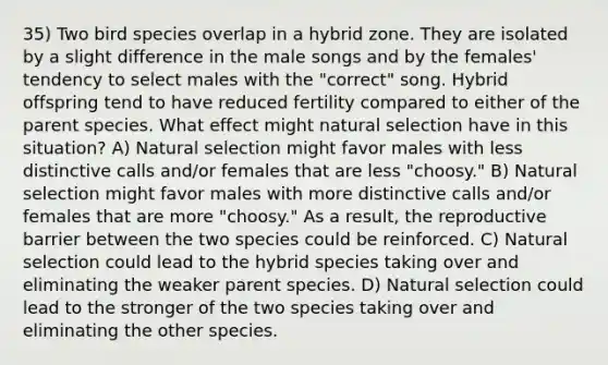 35) Two bird species overlap in a hybrid zone. They are isolated by a slight difference in the male songs and by the females' tendency to select males with the "correct" song. Hybrid offspring tend to have reduced fertility compared to either of the parent species. What effect might natural selection have in this situation? A) Natural selection might favor males with less distinctive calls and/or females that are less "choosy." B) Natural selection might favor males with more distinctive calls and/or females that are more "choosy." As a result, the reproductive barrier between the two species could be reinforced. C) Natural selection could lead to the hybrid species taking over and eliminating the weaker parent species. D) Natural selection could lead to the stronger of the two species taking over and eliminating the other species.