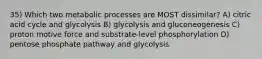 35) Which two metabolic processes are MOST dissimilar? A) citric acid cycle and glycolysis B) glycolysis and gluconeogenesis C) proton motive force and substrate-level phosphorylation D) pentose phosphate pathway and glycolysis