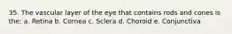 35. The vascular layer of the eye that contains rods and cones is the: a. Retina b. Cornea c. Sclera d. Choroid e. Conjunctiva