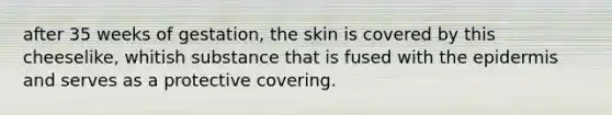 after 35 weeks of gestation, the skin is covered by this cheeselike, whitish substance that is fused with the epidermis and serves as a protective covering.