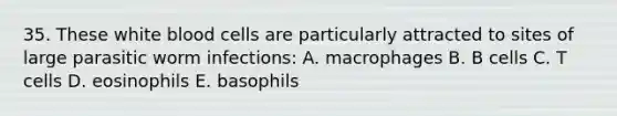 35. These white blood cells are particularly attracted to sites of large parasitic worm infections: A. macrophages B. B cells C. T cells D. eosinophils E. basophils