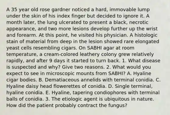 A 35 year old rose gardner noticed a hard, immovable lump under the skin of his index finger but decided to ignore it. A month later, the lung ulcerated to present a black, necrotic appearance, and two more lesions develop further up the wrist and forearm. At this point, he visited his physician. A histologic stain of material from deep in the lesion showed rare elongated yeast cells resembling cigars. On SABHI agar at room temperature, a cream-colored leathery colony grew relatively rapidly, and after 9 days it started to turn back. 1. What disease is suspected and why? Give two reasons. 2. What would you expect to see in microscopic mounts from SABHI? A. Hyaline cigar bodies. B. Dematiaceous annelids with terminal conidia. C. Hyaline daisy head flowerettes of conidia. D. Single terminal, hyaline conidia. E. Hyaline, tapering condiophores with terminal balls of conidia. 3. The etiologic agent is ubiquitous in nature. How did the patient probably contract the fungus?