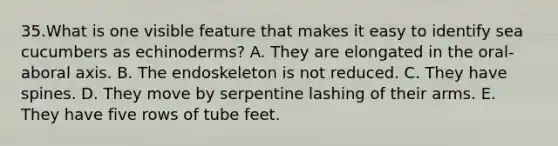 35.What is one visible feature that makes it easy to identify sea cucumbers as echinoderms? A. They are elongated in the oral-aboral axis. B. The endoskeleton is not reduced. C. They have spines. D. They move by serpentine lashing of their arms. E. They have five rows of tube feet.