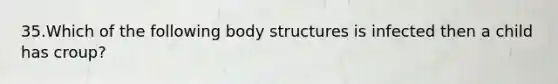 35.Which of the following body structures is infected then a child has croup?