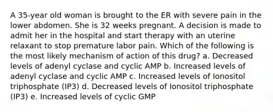 A 35-year old woman is brought to the ER with severe pain in the lower abdomen. She is 32 weeks pregnant. A decision is made to admit her in the hospital and start therapy with an uterine relaxant to stop premature labor pain. Which of the following is the most likely mechanism of action of this drug? a. Decreased levels of adenyl cyclase and cyclic AMP b. Increased levels of adenyl cyclase and cyclic AMP c. Increased levels of Ionositol triphosphate (IP3) d. Decreased levels of Ionositol triphosphate (IP3) e. Increased levels of cyclic GMP