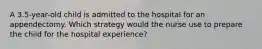 A 3.5-year-old child is admitted to the hospital for an appendectomy. Which strategy would the nurse use to prepare the child for the hospital experience?