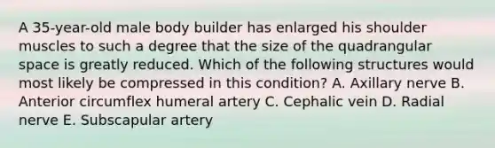 A 35-year-old male body builder has enlarged his shoulder muscles to such a degree that the size of the quadrangular space is greatly reduced. Which of the following structures would most likely be compressed in this condition? A. Axillary nerve B. Anterior circumflex humeral artery C. Cephalic vein D. Radial nerve E. Subscapular artery