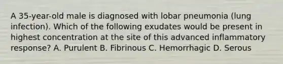 A 35-year-old male is diagnosed with lobar pneumonia (lung infection). Which of the following exudates would be present in highest concentration at the site of this advanced inflammatory response? A. Purulent B. Fibrinous C. Hemorrhagic D. Serous