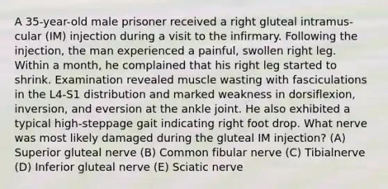 A 35-year-old male prisoner received a right gluteal intramus- cular (IM) injection during a visit to the infirmary. Following the injection, the man experienced a painful, swollen right leg. Within a month, he complained that his right leg started to shrink. Examination revealed muscle wasting with fasciculations in the L4-S1 distribution and marked weakness in dorsiflexion, inversion, and eversion at the ankle joint. He also exhibited a typical high-steppage gait indicating right foot drop. What nerve was most likely damaged during the gluteal IM injection? (A) Superior gluteal nerve (B) Common fibular nerve (C) Tibialnerve (D) Inferior gluteal nerve (E) Sciatic nerve