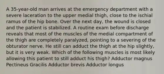 A 35-year-old man arrives at the emergency department with a severe laceration to the upper medial thigh, close to the ischial ramus of the hip bone. Over the next day, the wound is closed and the patient is stabilized. A routine exam before discharge reveals that most of the muscles of the medial compartment of the thigh are completely paralyzed, pointing to a severing of the obturator nerve. He still can adduct the thigh at the hip slightly, but it is very weak. Which of the following muscles is most likely allowing this patient to still adduct his thigh? Adductor magnus Pectineus Gracilis Adductor brevis Adductor longus