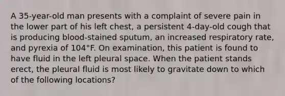 A 35-year-old man presents with a complaint of severe pain in the lower part of his left chest, a persistent 4-day-old cough that is producing blood-stained sputum, an increased respiratory rate, and pyrexia of 104°F. On examination, this patient is found to have fluid in the left pleural space. When the patient stands erect, the pleural fluid is most likely to gravitate down to which of the following locations?