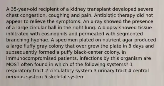 A 35-year-old recipient of a kidney transplant developed severe chest congestion, coughing and pain. Antibiotic therapy did not appear to relieve the symptoms. An x-ray showed the presence of a large circular ball in the right lung. A biopsy showed tissue infiltrated with eosinophils and permeated with segmented branching hyphae. A specimen plated on nutrient agar produced a large fluffy gray colony that over grew the plate in 3 days and subsequently formed a puffy black-center colony. In immunocompromised patients, infections by this organism are MOST often found in which of the following systems? 1 respiratory tract 2 circulatory system 3 urinary tract 4 central nervous system 5 skeletal system