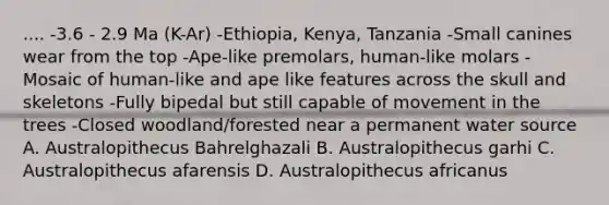 .... -3.6 - 2.9 Ma (K-Ar) -Ethiopia, Kenya, Tanzania -Small canines wear from the top -Ape-like premolars, human-like molars -Mosaic of human-like and ape like features across the skull and skeletons -Fully bipedal but still capable of movement in the trees -Closed woodland/forested near a permanent water source A. Australopithecus Bahrelghazali B. Australopithecus garhi C. Australopithecus afarensis D. Australopithecus africanus