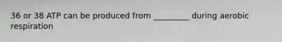 36 or 38 ATP can be produced from _________ during aerobic respiration