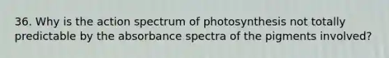 36. Why is the action spectrum of photosynthesis not totally predictable by the absorbance spectra of the pigments involved?