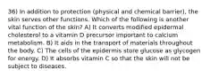 36) In addition to protection (physical and chemical barrier), the skin serves other functions. Which of the following is another vital function of the skin? A) It converts modified epidermal cholesterol to a vitamin D precursor important to calcium metabolism. B) It aids in the transport of materials throughout the body. C) The cells of the epidermis store glucose as glycogen for energy. D) It absorbs vitamin C so that the skin will not be subject to diseases.