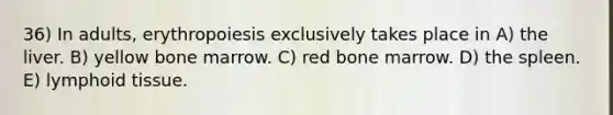 36) In adults, erythropoiesis exclusively takes place in A) the liver. B) yellow bone marrow. C) red bone marrow. D) the spleen. E) lymphoid tissue.