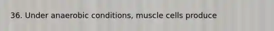 36. Under anaerobic conditions, muscle cells produce