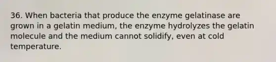 36. When bacteria that produce the enzyme gelatinase are grown in a gelatin medium, the enzyme hydrolyzes the gelatin molecule and the medium cannot solidify, even at cold temperature.