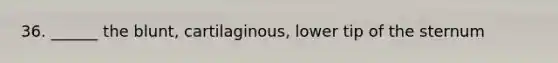 36. ______ the blunt, cartilaginous, lower tip of the sternum