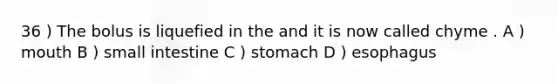 36 ) The bolus is liquefied in the and it is now called chyme . A ) mouth B ) small intestine C ) stomach D ) esophagus