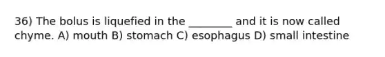 36) The bolus is liquefied in the ________ and it is now called chyme. A) mouth B) stomach C) esophagus D) small intestine