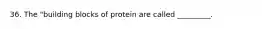 36. The "building blocks of protein are called _________.