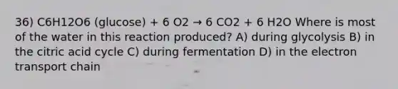 36) C6H12O6 (glucose) + 6 O2 → 6 CO2 + 6 H2O Where is most of the water in this reaction produced? A) during glycolysis B) in the citric acid cycle C) during fermentation D) in the electron transport chain