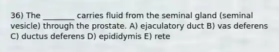 36) The ________ carries fluid from the seminal gland (seminal vesicle) through the prostate. A) ejaculatory duct B) vas deferens C) ductus deferens D) epididymis E) rete