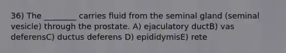 36) The ________ carries fluid from the seminal gland (seminal vesicle) through the prostate. A) ejaculatory ductB) vas deferensC) ductus deferens D) epididymisE) rete