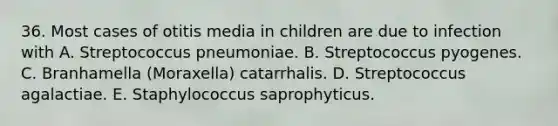 36. Most cases of otitis media in children are due to infection with A. Streptococcus pneumoniae. B. Streptococcus pyogenes. C. Branhamella (Moraxella) catarrhalis. D. Streptococcus agalactiae. E. Staphylococcus saprophyticus.