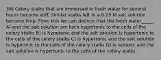 36) Celery stalks that are immersed in fresh water for several hours become stiff. Similar stalks left in a 0.15 M salt solution become limp. From this we can deduce that the fresh water_____. A) and the salt solution are both hypertonic to the cells of the celery stalks B) is hypotonic and the salt solution is hypertonic to the cells of the celery stalks C) is hypertonic and the salt solution is hypotonic to the cells of the celery stalks D) is isotonic and the salt solution is hypertonic to the cells of the celery stalks