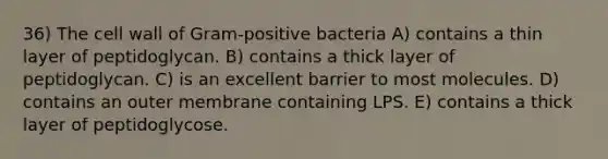 36) The cell wall of Gram-positive bacteria A) contains a thin layer of peptidoglycan. B) contains a thick layer of peptidoglycan. C) is an excellent barrier to most molecules. D) contains an outer membrane containing LPS. E) contains a thick layer of peptidoglycose.