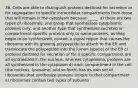 36. Cells are able to distinguish proteins destined for secretion or for segregation to specific intracellular compartments from those that will remain in the cytoplasm because _____. a) there are two types of ribosomes: one group that synthesizes cytoplasmic proteins only, and another type that synthesizes secreted or compartment-specific proteins only b) some proteins, as they begin to be synthesized, contain a signal region that causes the ribosome with its growing polypeptide to attach to the ER and translocate the polypeptide into the lumen (space) of the ER c) proteins destined for secretion or for a specific compartment are all synthesized in the nucleus, whereas cytoplasmic proteins are all synthesized in the cytoplasm d) each compartment in the cell (the nucleus, lysosome, and so forth) has its own set of ribosomes that synthesize proteins unique to that compartment e) ribosomes contain two types of subunits