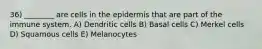 36) ________ are cells in the epidermis that are part of the immune system. A) Dendritic cells B) Basal cells C) Merkel cells D) Squamous cells E) Melanocytes