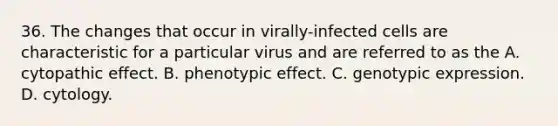 36. The changes that occur in virally-infected cells are characteristic for a particular virus and are referred to as the A. cytopathic effect. B. phenotypic effect. C. genotypic expression. D. cytology.