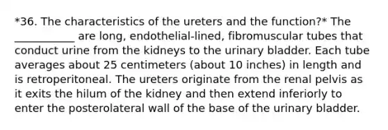 *36. The characteristics of the ureters and the function?* The ___________ are long, endothelial-lined, fibromuscular tubes that conduct urine from the kidneys to the urinary bladder. Each tube averages about 25 centimeters (about 10 inches) in length and is retroperitoneal. The ureters originate from the renal pelvis as it exits the hilum of the kidney and then extend inferiorly to enter the posterolateral wall of the base of the urinary bladder.