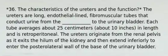 *36. The characteristics of the ureters and the function?* The ureters are long, endothelial-lined, fibromuscular tubes that conduct urine from the ____________ to the urinary bladder. Each tube averages about 25 centimeters (about 10 inches) in length and is retroperitoneal. The ureters originate from the renal pelvis as it exits the hilum of the kidney and then extend inferiorly to enter the posterolateral wall of the base of the urinary bladder.