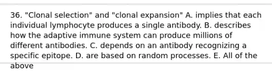 36. "Clonal selection" and "clonal expansion" A. implies that each individual lymphocyte produces a single antibody. B. describes how the adaptive immune system can produce millions of different antibodies. C. depends on an antibody recognizing a specific epitope. D. are based on random processes. E. All of the above