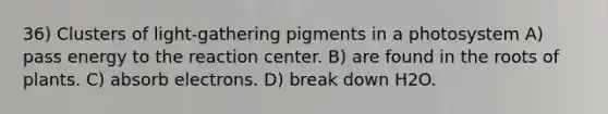 36) Clusters of light-gathering pigments in a photosystem A) pass energy to the reaction center. B) are found in the roots of plants. C) absorb electrons. D) break down H2O.