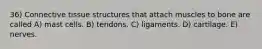 36) Connective tissue structures that attach muscles to bone are called A) mast cells. B) tendons. C) ligaments. D) cartilage. E) nerves.