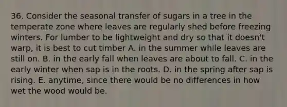 36. Consider the seasonal transfer of sugars in a tree in the temperate zone where leaves are regularly shed before freezing winters. For lumber to be lightweight and dry so that it doesn't warp, it is best to cut timber A. in the summer while leaves are still on. B. in the early fall when leaves are about to fall. C. in the early winter when sap is in the roots. D. in the spring after sap is rising. E. anytime, since there would be no differences in how wet the wood would be.