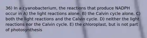 36) In a cyanobacterium, the reactions that produce NADPH occur in A) the light reactions alone. B) the Calvin cycle alone. C) both the light reactions and the Calvin cycle. D) neither the light reactions nor the Calvin cycle. E) the chloroplast, but is not part of photosynthesis