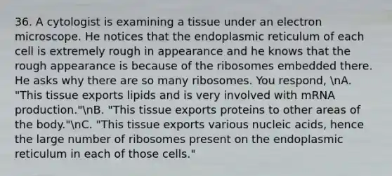 36. A cytologist is examining a tissue under an electron microscope. He notices that the endoplasmic reticulum of each cell is extremely rough in appearance and he knows that the rough appearance is because of the ribosomes embedded there. He asks why there are so many ribosomes. You respond, nA. "This tissue exports lipids and is very involved with mRNA production."nB. "This tissue exports proteins to other areas of the body."nC. "This tissue exports various nucleic acids, hence the large number of ribosomes present on the endoplasmic reticulum in each of those cells."