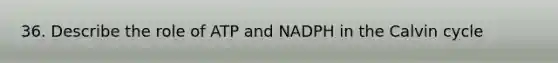 36. Describe the role of ATP and NADPH in the Calvin cycle