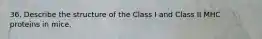 36. Describe the structure of the Class I and Class II MHC proteins in mice.