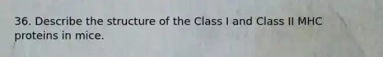 36. Describe the structure of the Class I and Class II MHC proteins in mice.