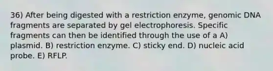 36) After being digested with a restriction enzyme, genomic DNA fragments are separated by gel electrophoresis. Specific fragments can then be identified through the use of a A) plasmid. B) restriction enzyme. C) sticky end. D) nucleic acid probe. E) RFLP.