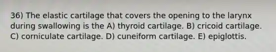 36) The elastic cartilage that covers the opening to the larynx during swallowing is the A) thyroid cartilage. B) cricoid cartilage. C) corniculate cartilage. D) cuneiform cartilage. E) epiglottis.