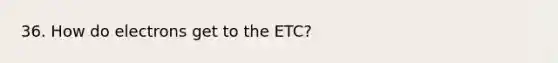 36. How do electrons get to the ETC?